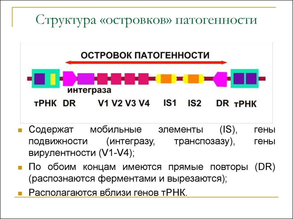 Схема факторы патогенности микроорганизмов