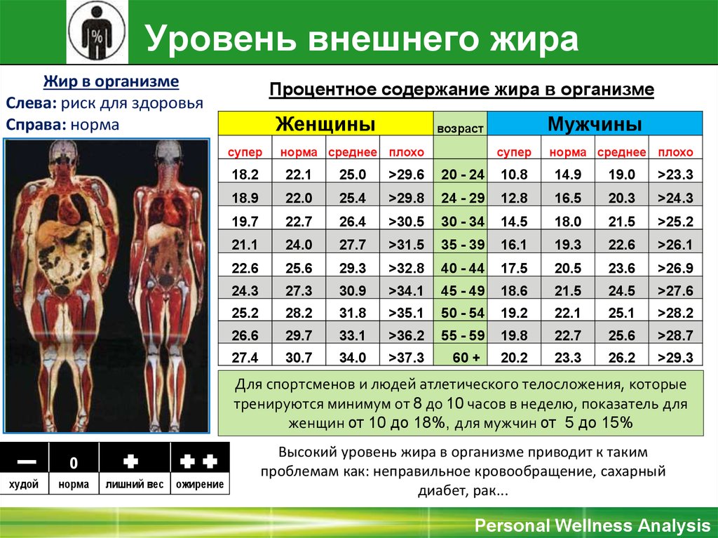 Какое количество мышц у человека. Нормальные показатели жира воды мышечной массы. Таблица процентного содержания жира в организме человека. Норма жиров в организме человека таблица.