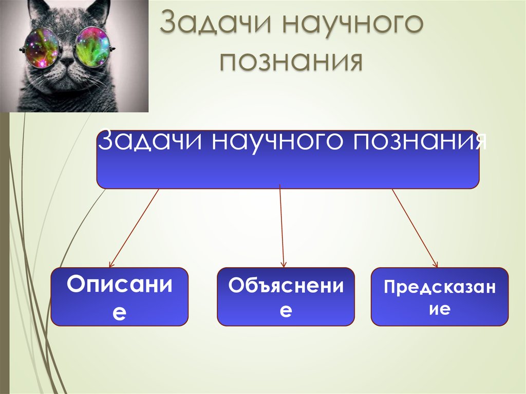 Формы и методы научного познания презентация