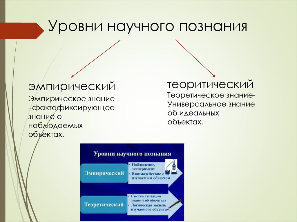 Составляющие научного познания