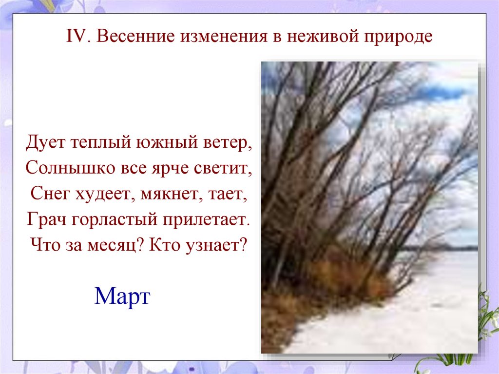 Презентация весенние явления в природе 5 класс