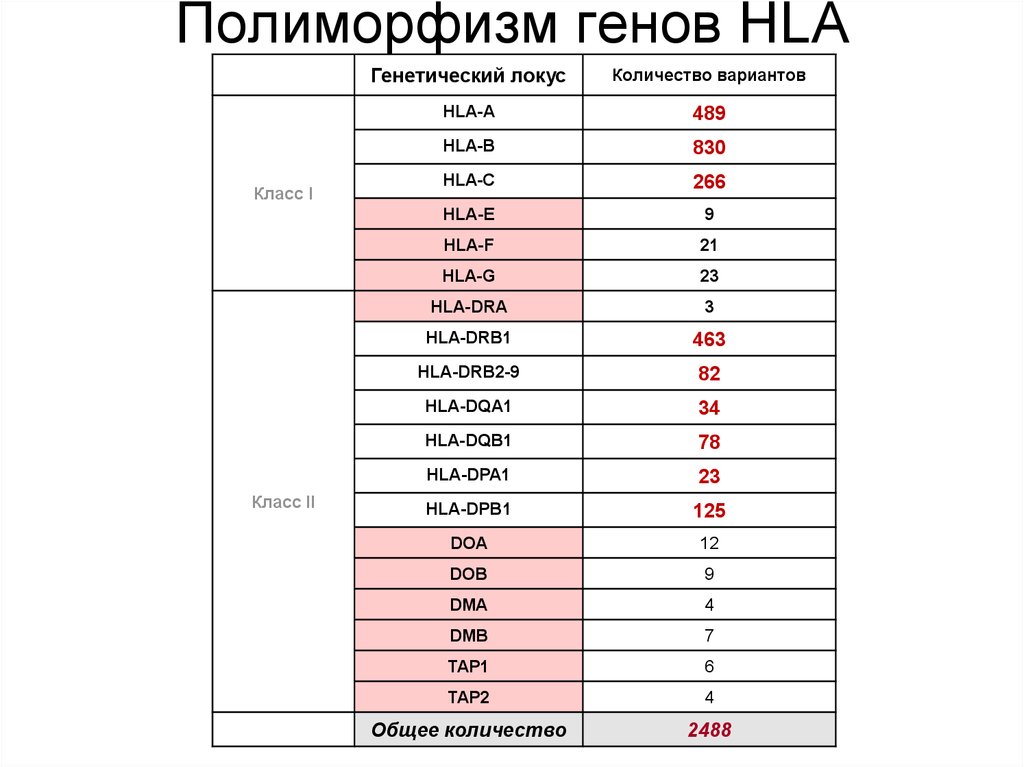 Генетическая карта локуса