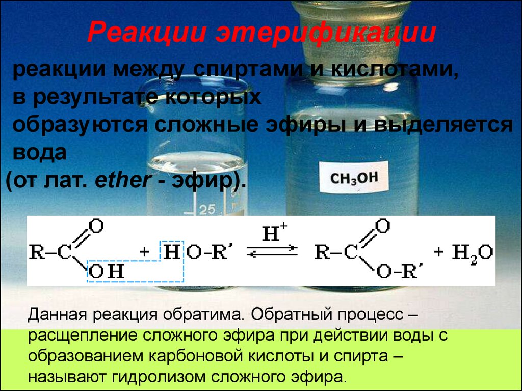 При реакции кислот и спирта образуются. Сложные эфиры образуются в результате реакции. Сложные эфиры образуются при реакции. Реакция между спиртами.