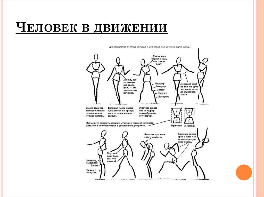 Человек движение работа. Схема человеческих движений. Схема передвижения людей. Человек в движении по линиям. Описание движений человека.