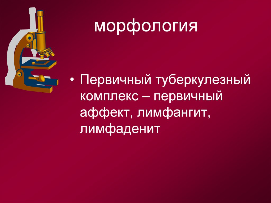 Первичные комплексы. Морфология первичного туберкулезного комплекса. Морфологически первичный туберкулезный аффект. Первичный туберкулёзный комплекс лимфаденит. Морфология первичного натяжения.