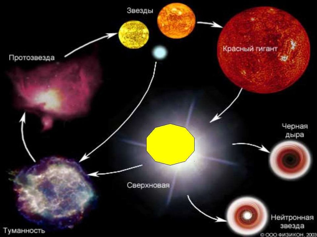 Последовательность белых карликов. Жизненный цикл звезд протозвезда. Этапы жизни эволюции звезд. Финальная стадия эволюции звезд. Этапы эволюции звезд астрономия.