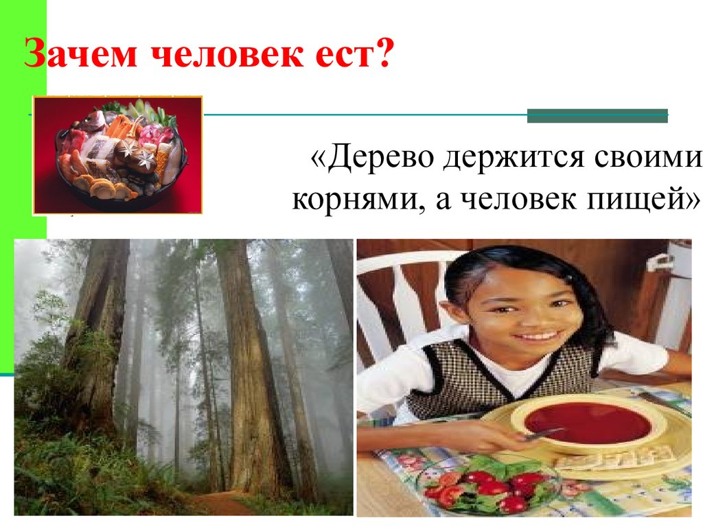 Зачем человеку есть. Дерево держится корнями а человек пищей. Зачем человек ест. Зачем человеку еда.