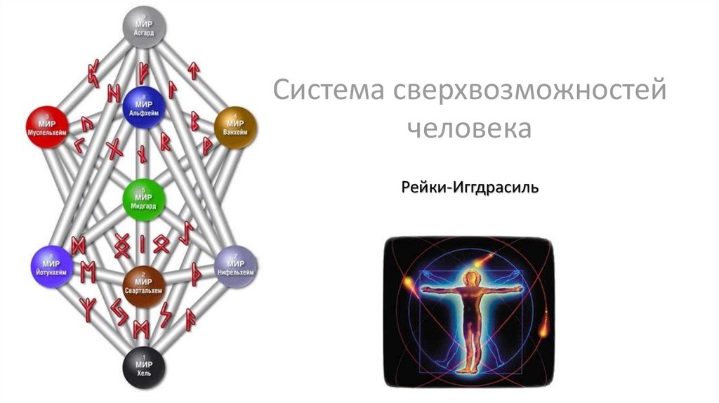 Схема рейки иггдрасиль