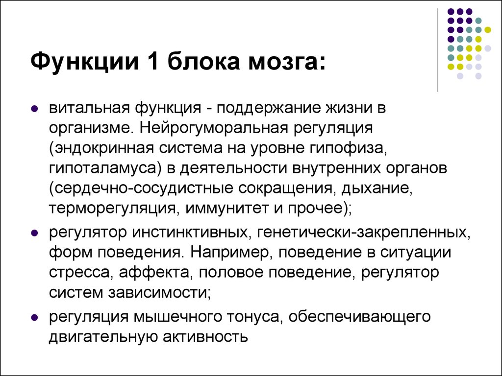 Блок мозгов. Функции 1 блока мозга. Функция первого блока Лурия. Функции третьего блока мозга. Функции первого блока.