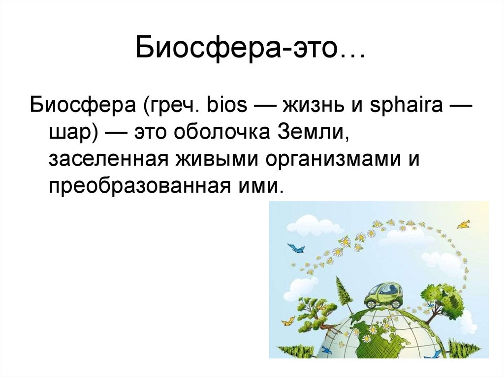 Презентация на тему биосфера 6 класс по географии