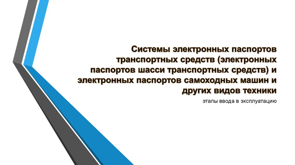 Система электронных паспортов транспортных средств