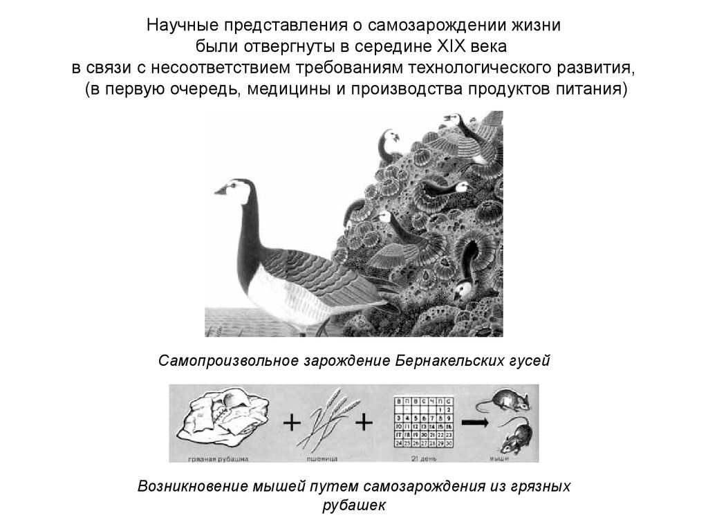 Научные представления. Самозарождение Бернакельских гусей. Живые представления это. Научные представления сегодня.