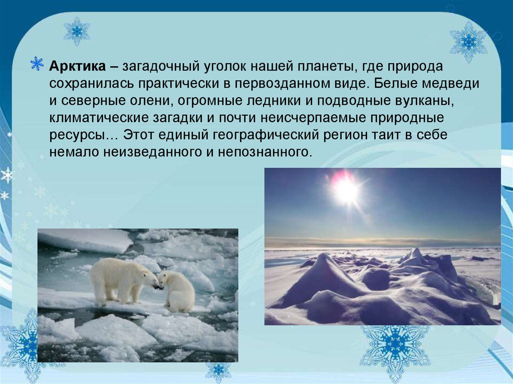 Какие особенности арктической пустыни. Сообщение об Арктике. Арктика презентация. Рассказ про Арктику. Доклад про Арктику.