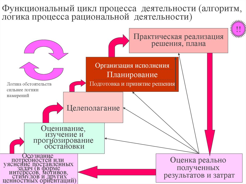 Цикл деятельности. Этапы функционального цикла. Функциональный цикл снабжения на предприятии. Эффективность функционального цикла.