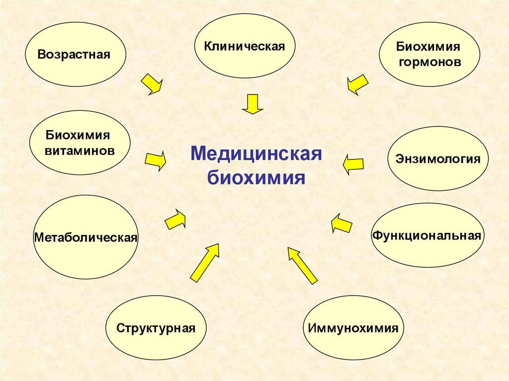 Медицинская биохимия кем работать после специалитета