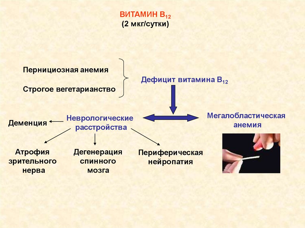 Биохимия учебный план