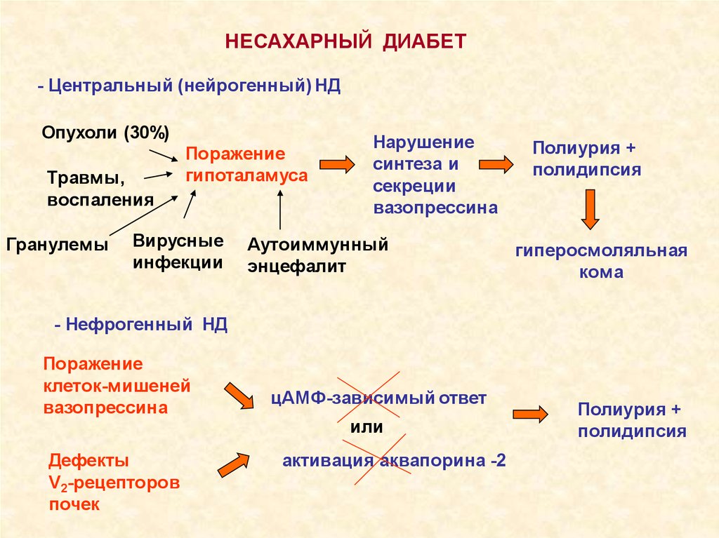 Несахарный диабет симптомы у женщин причины. Несахарный диабет патофизиология. Почечный несахарный диабет патогенез. Патогенез нефрогенного несахарного диабета. Несахарный диабет патогенез схема.