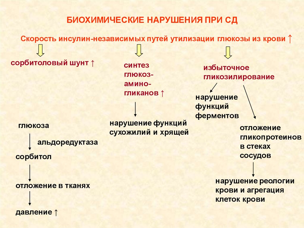 Медицинская биохимия