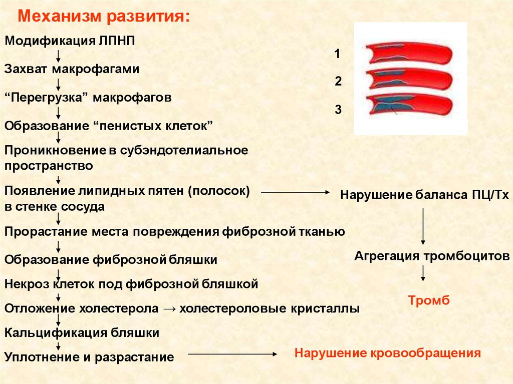 Биохимия учебный план