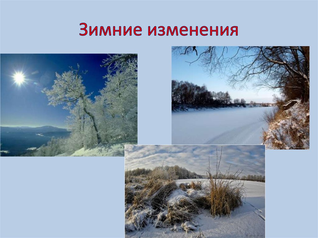 Изменения природы в декабре. Сезонные изменения зима. Зима изменения в природе. Сезонные изменения в природе зимой. Зима в неживой природе.