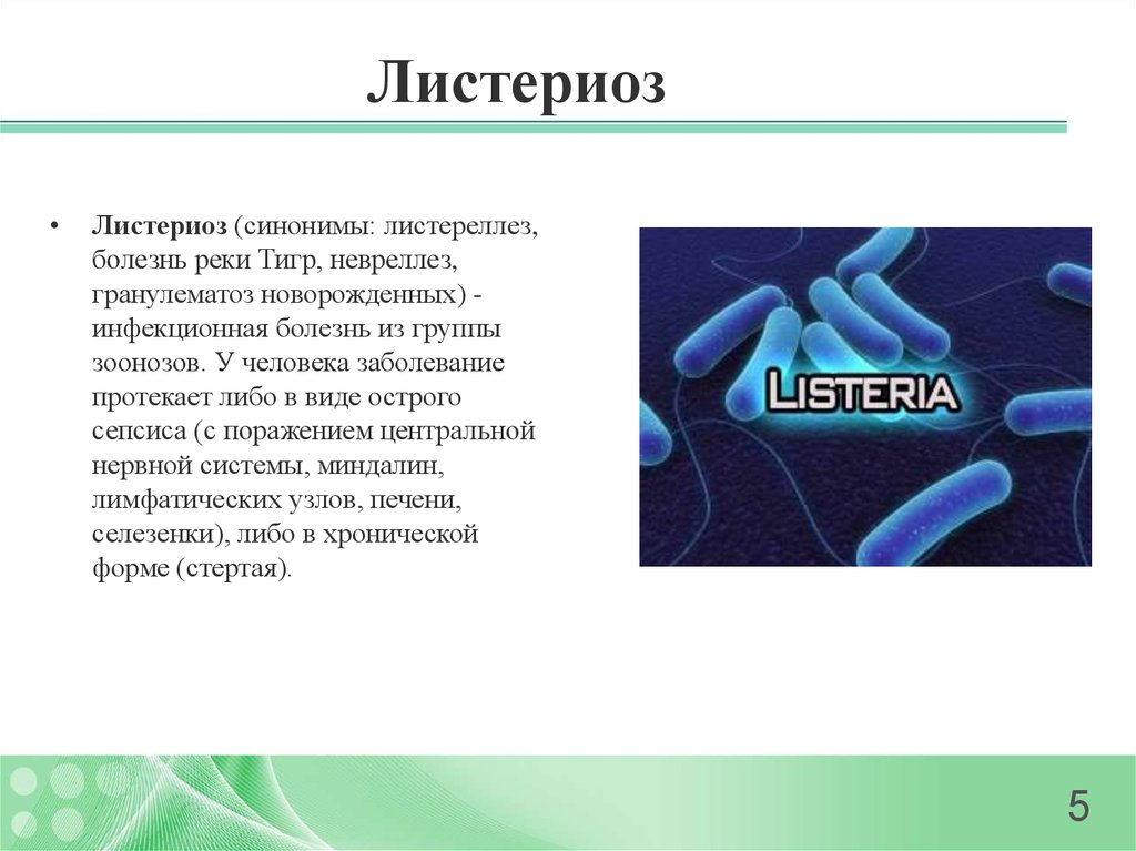 Листериоз лечение у человека