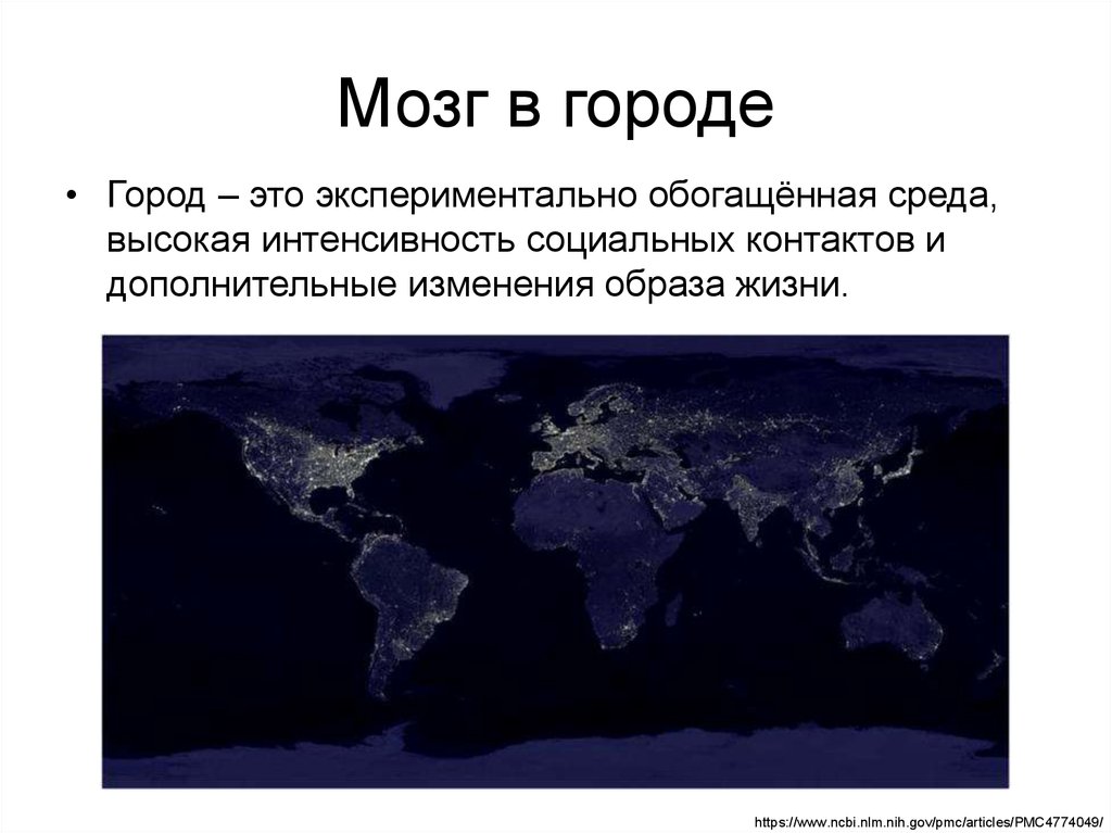 Мозг в городе