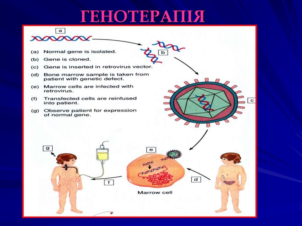 Фетальная генотерапия картинки