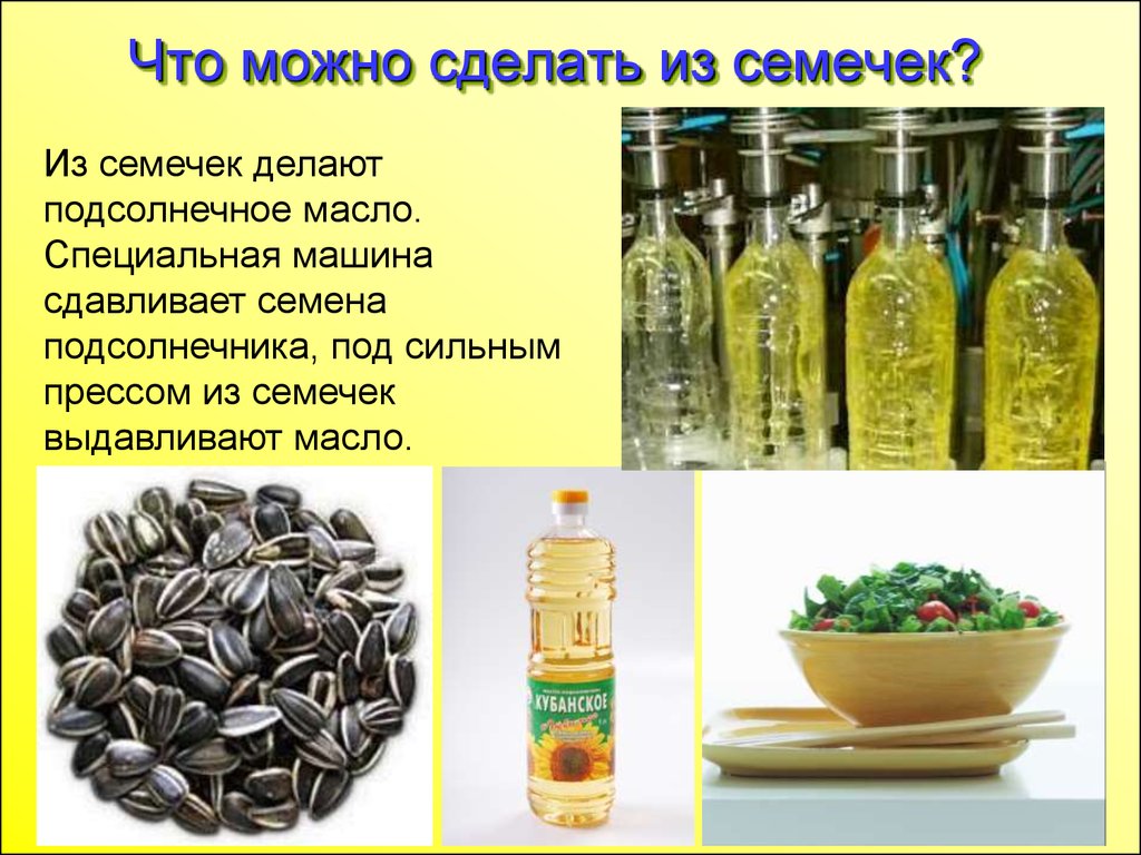 Классы растительного масла. Растительные масла из семян. Масло из семечек подсолнуха. Что делают из семечек. Из чего изготавливают растительное масло.