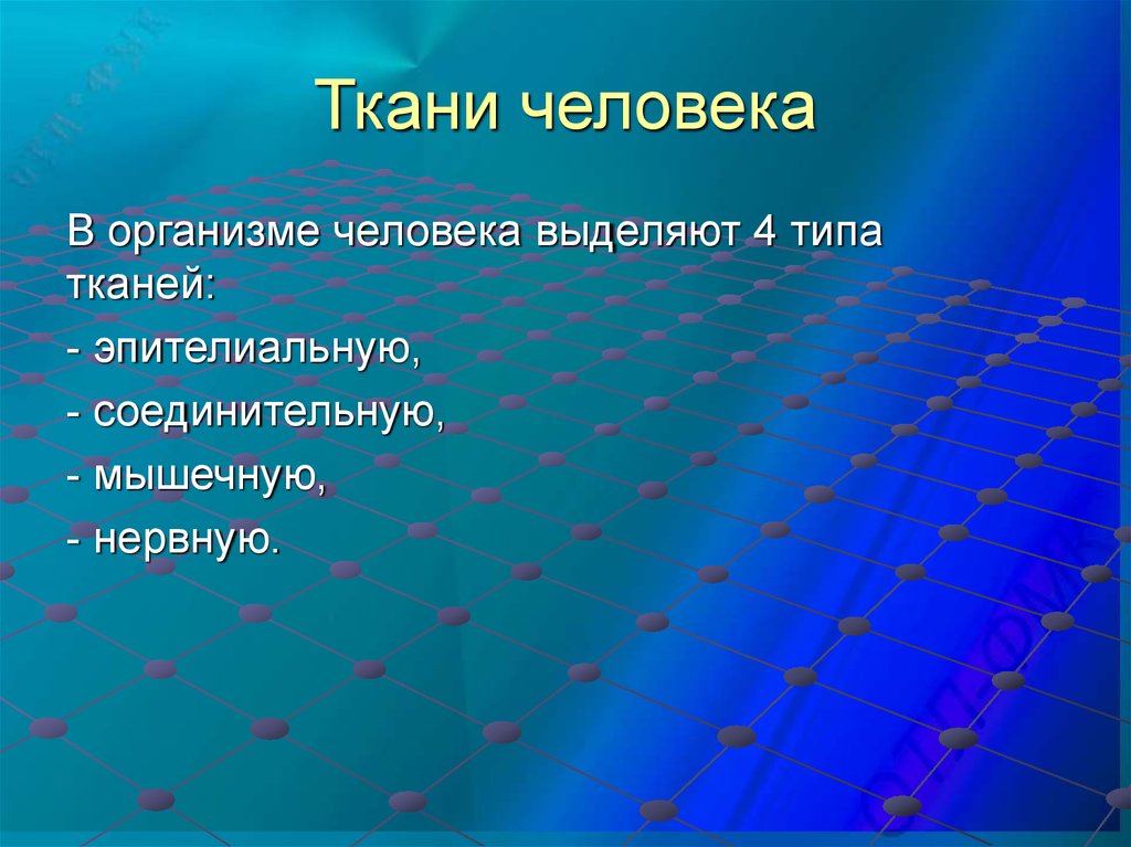 Ткань выделяющая. Ткани человека. В теле человека выделяют 3 вида тканей.