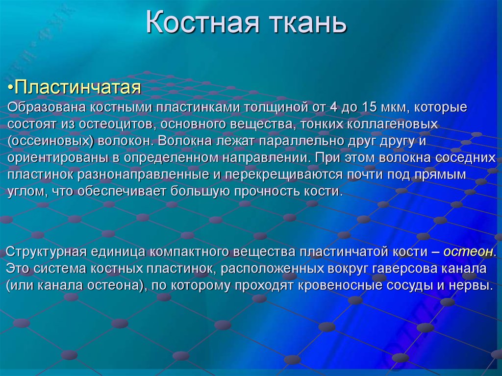 Ткань образующая скелетные. Пластинчатая костная ткань функции. Классификация костной ткани. Пластинчатая ткань функции. Пластичная костная ткань функции.