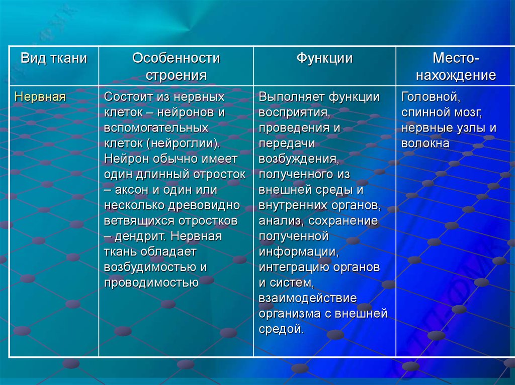 Особенности строения нервной ткани. Нервная ткань особенности строения и функции. Особенности нервной ткани. Особенности нервнойтакани. Нервная ткань строенифункции.