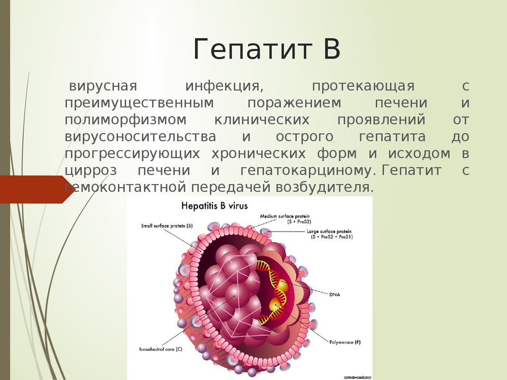 Гепатит б. Вирусные гепатиты. Вирусный гепатит b. Гепатит презентация.