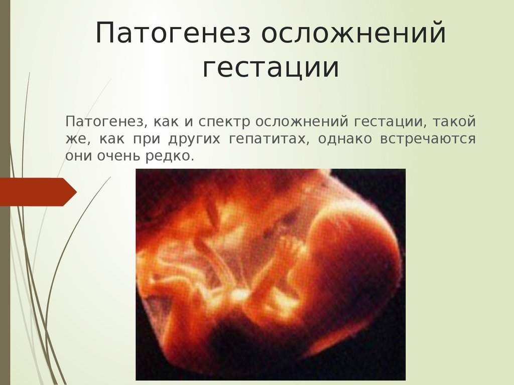 Патогенез осложнений гестации