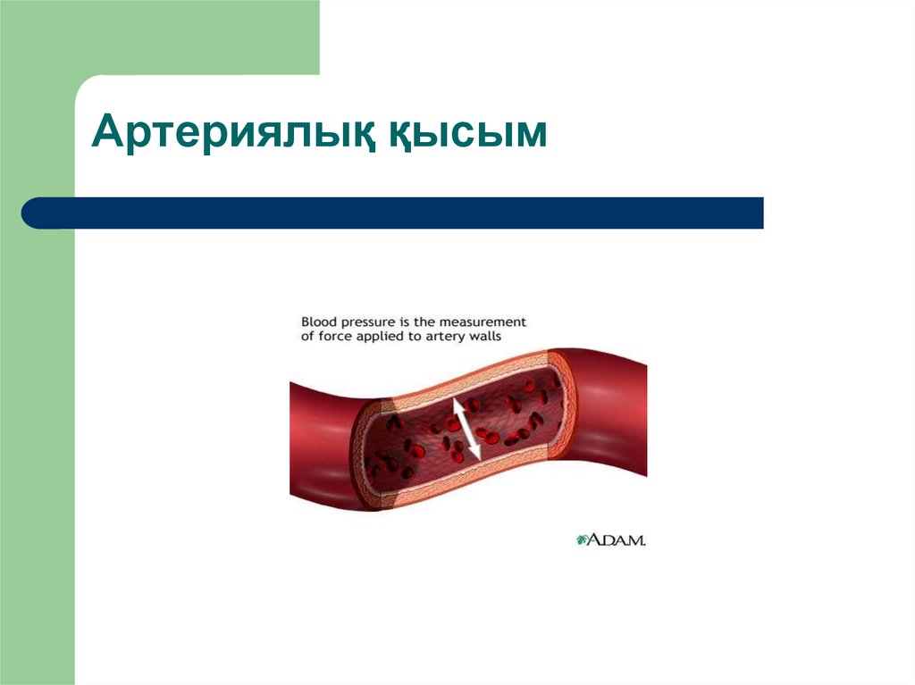 Артериялық гипертензия презентация қазақша