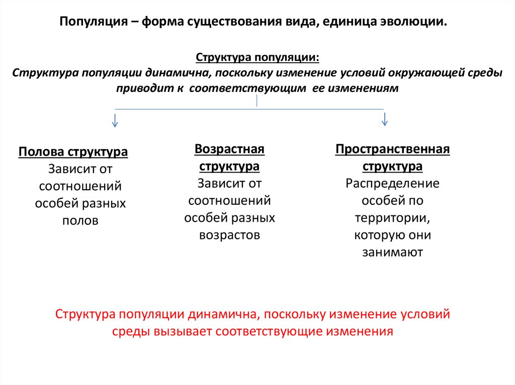 Самостоятельная работа вид и популяция 10 класс. Виды популяций. пространственная структура популяции. основные процессы происходящие в популяции.