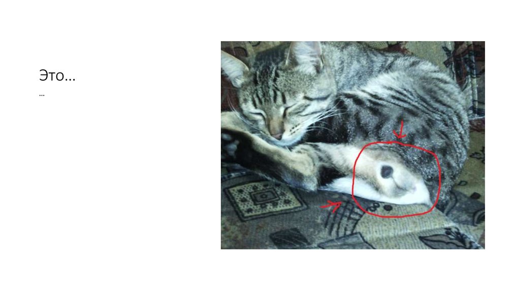 Это…
