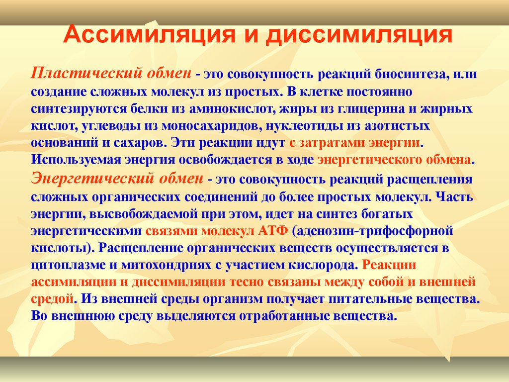 Начальные продукты процесса. Процессы ассимиляции и диссимиляции веществ.. Ассимиляция это в биологии. Основные реакции процесса ассимиляции. Ассимиляция это процесс биология.