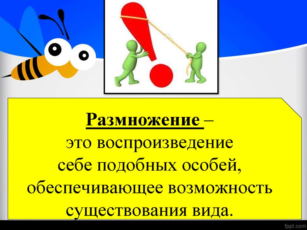 Воспроизводство организмами себе подобных