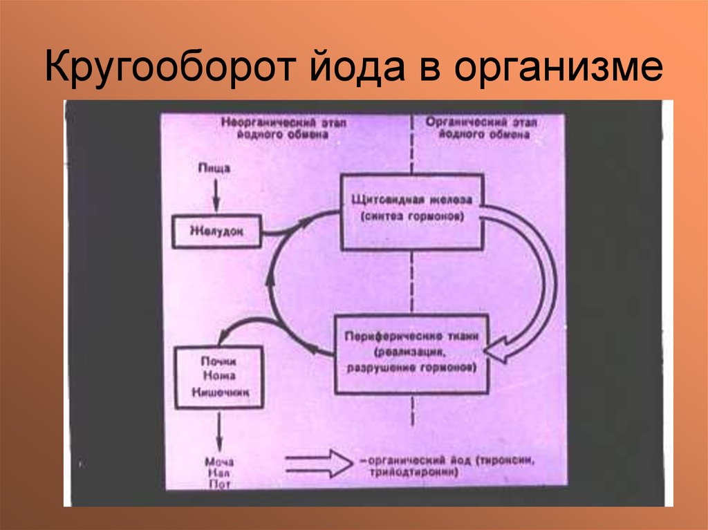 Схема производства йода