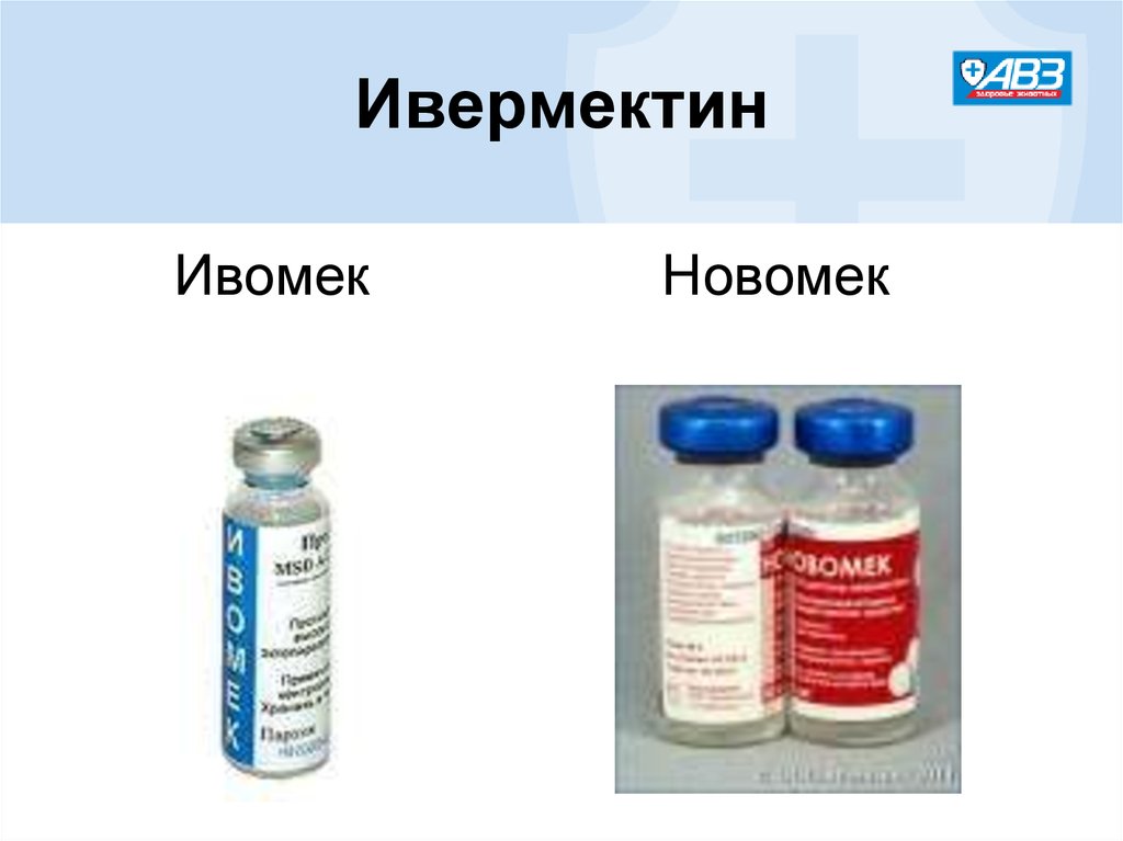 Новомек. Ивермектин (ивомек). Новомек в ветеринарии. Ивомек для КРС. Ивомек для собак.