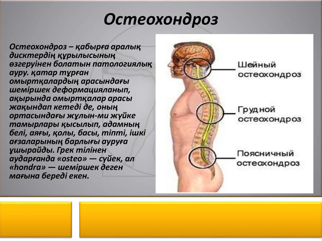 Грыжа казакша презентация