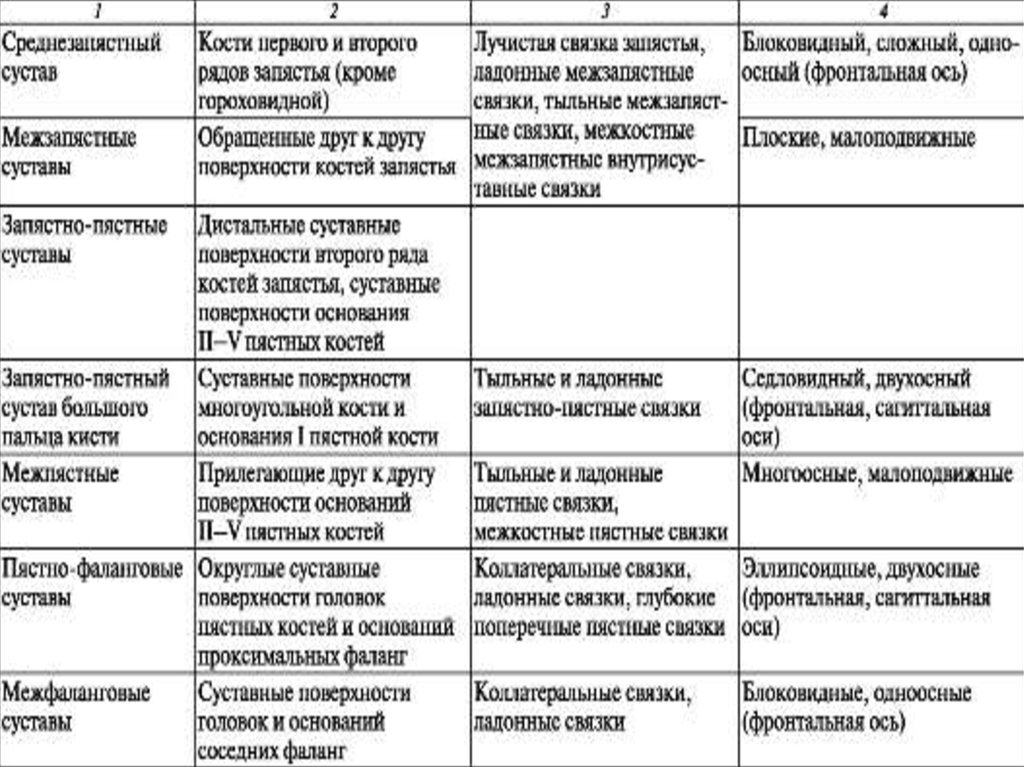 Биология 7 класс опорно двигательная система таблица