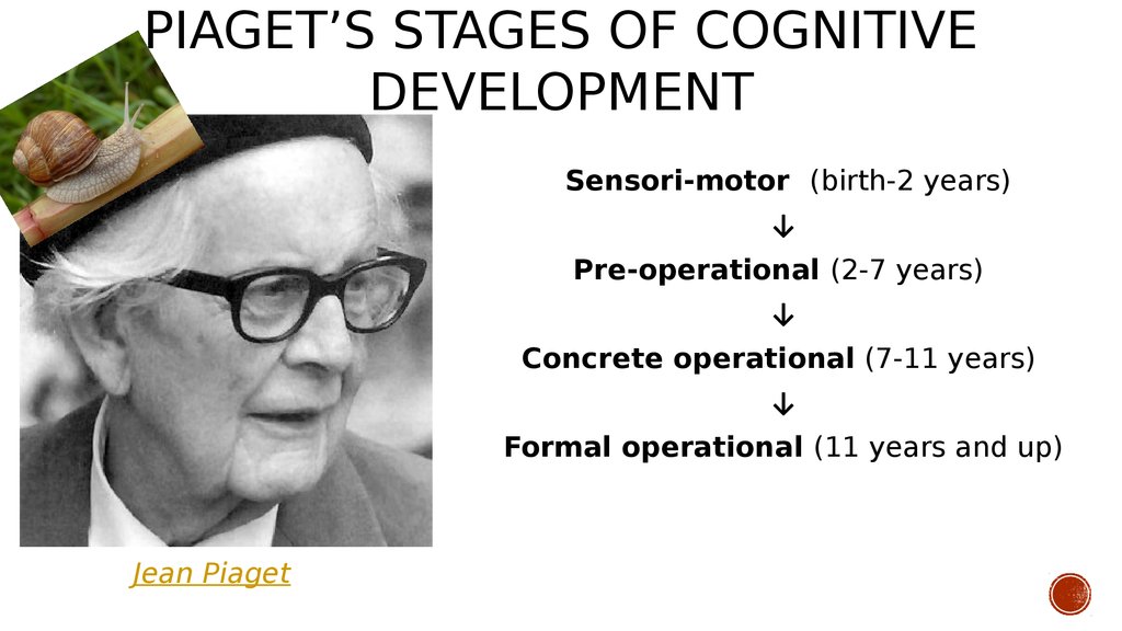 Piaget’s stages of cognitive development