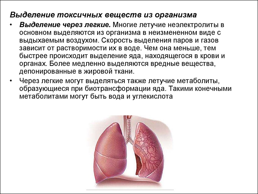 Вещество выделенное организмом. Выделение через легкие. Вещества выделяющиеся через легкие. Какие вещества выделяются через легкие. Выделение веществ через легкие.