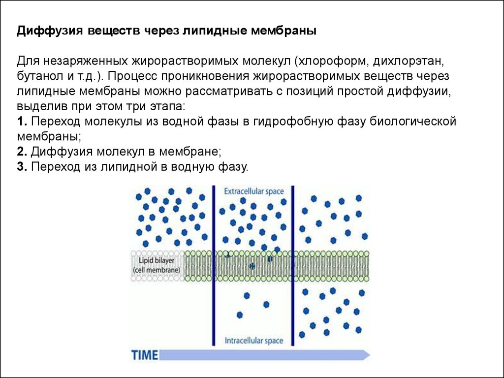 Диффузия является. Диффузия через мембрану. Диффузия веществ через мембрану. Процесс диффузии. Облегченная диффузия вещества.