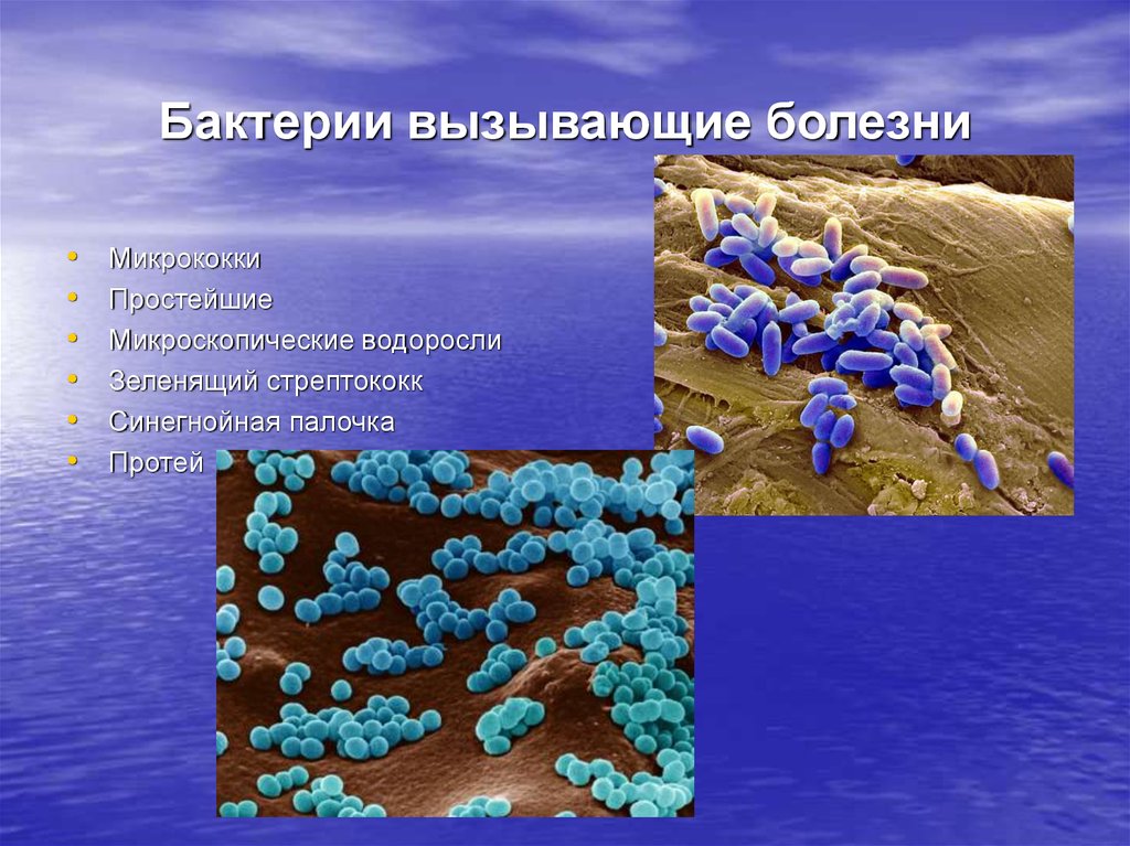Примеры заболеваний вызываемых бактериями. Бактерии и бактериальные заболевания. Болезни вызываемые микроорганизмами. Заболевания вызванные бактериями. Заболевания человека вызываемые микроорганизмами.