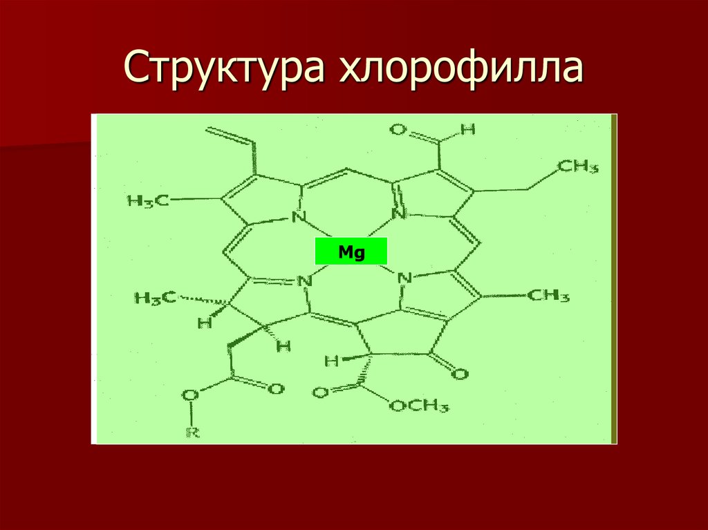 Окисление хлорофилла. Схематическое строение хлорофилла. Хлорофилл формула химическая структура. Строение молекулы хлорофилла. Структура молекулы хлорофилла.