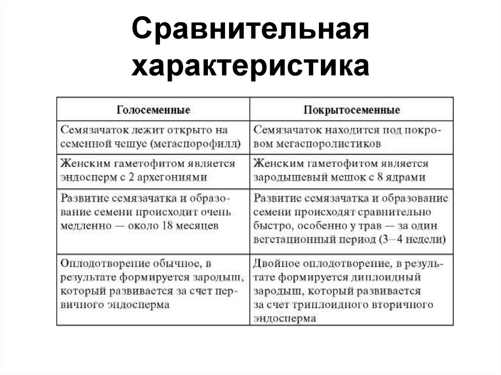 Составьте план сравнительной характеристики челкаша и гаврилы портрет детали биографии таблица