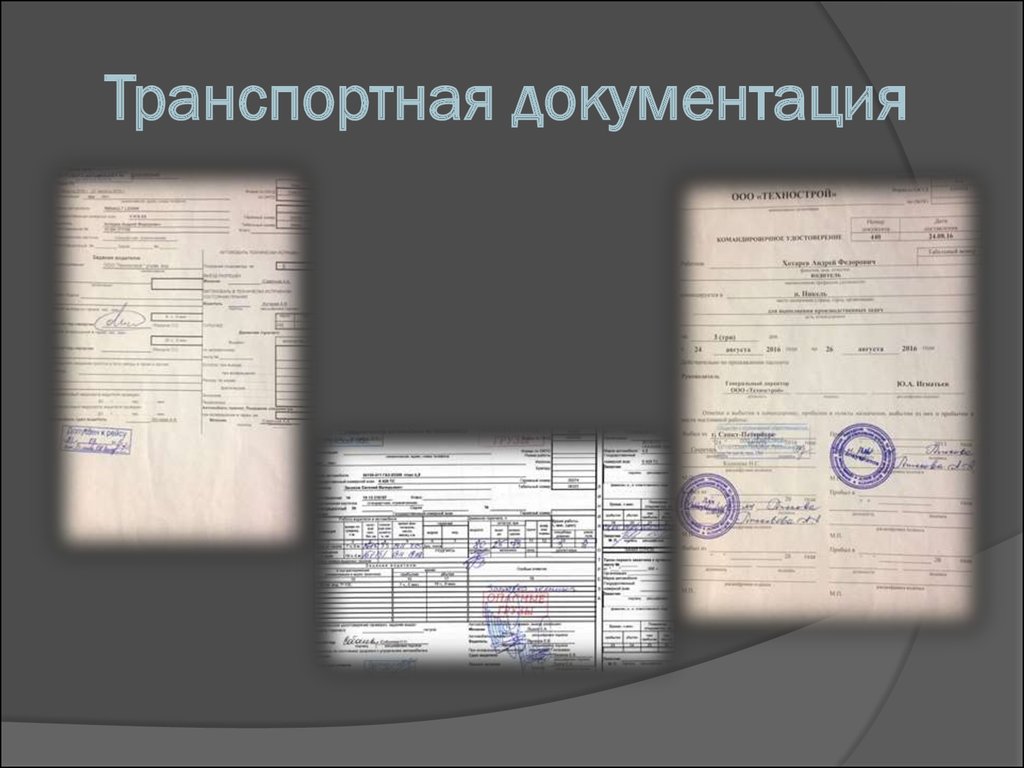 При перевозке скоропортящихся грузов помимо путевого листа и ттн водитель должен иметь