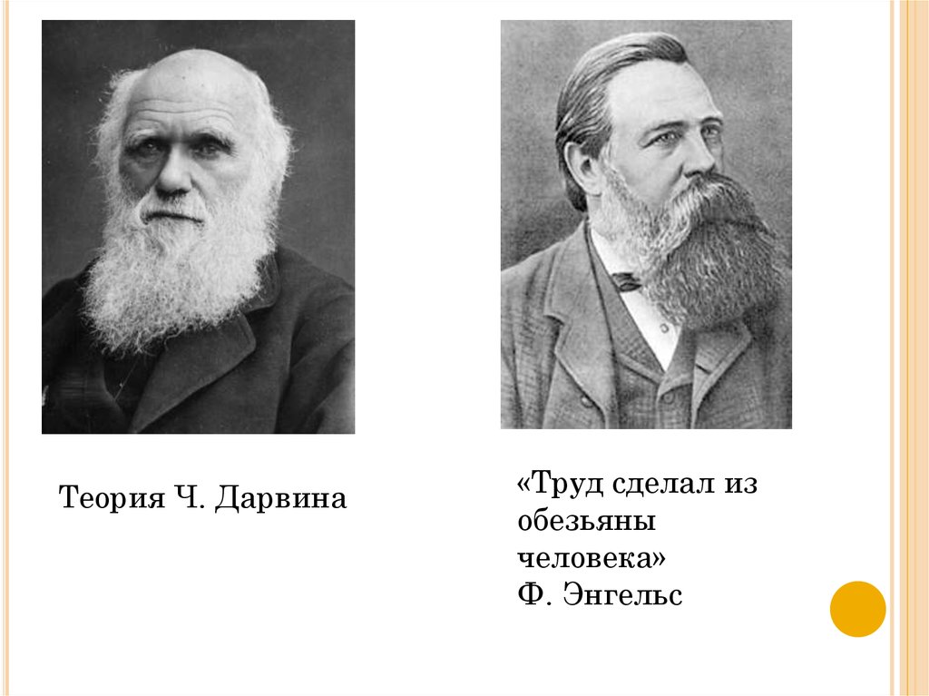 Труд сделал из обезьяны человека. Энгельс труд сделал из обезьяны человека. Труд создал из обезьяны человека Дарвин. Труд создал из обезьяны человека кто сказал.